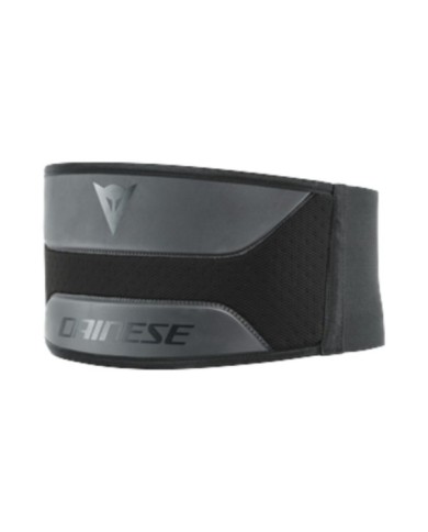 Dainese Nierengurt Lumbar Low schwarz