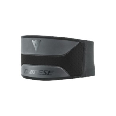 Dainese Nierengurt Lumbar Low schwarz