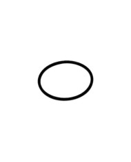 Öhlins O-ring 35x2 NBR70