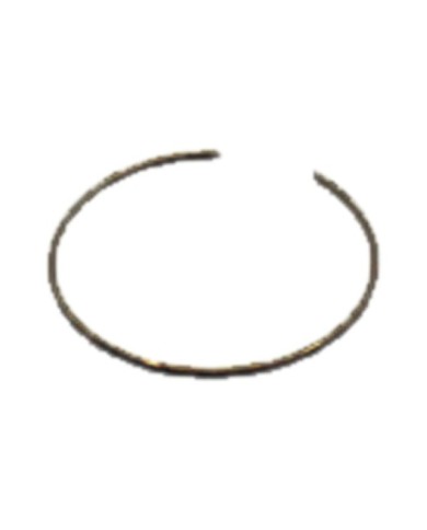 Öhlins Anello elastico 28 1.0