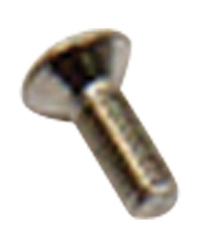 Öhlins Screw DIN966 Torx A2 M3x8