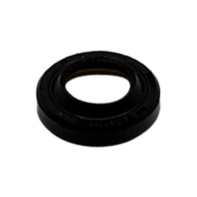 Öhlins Raschietto 16