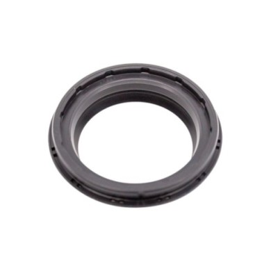 Öhlins Abstreifer Gabel 43 mm