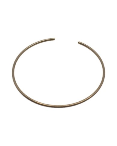 Öhlins Sicherungsring