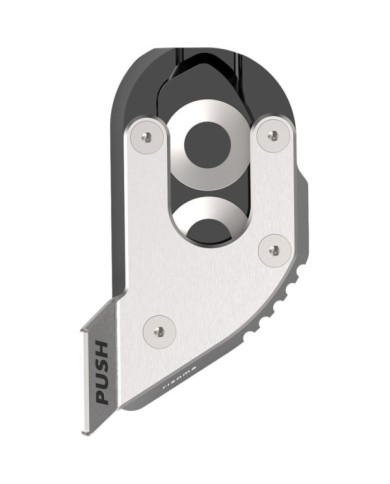 Rizoma Base di supporto