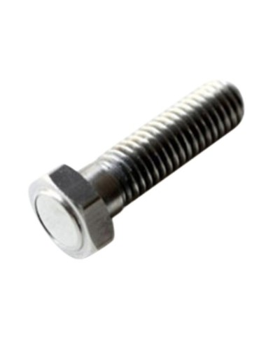 Motogadget Vis magnétique M8 longueur 29 mm