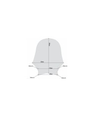 GIVI Pare-brise transparent