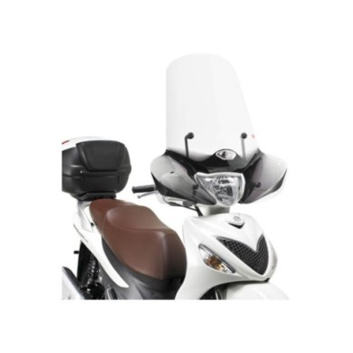 GIVI Parabrezza 169A