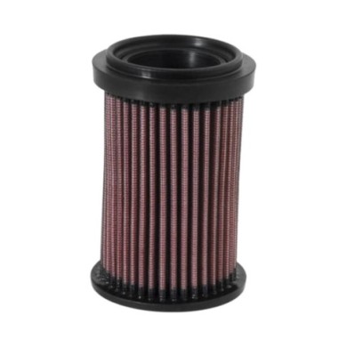 K&N Filtro aria DU-6908