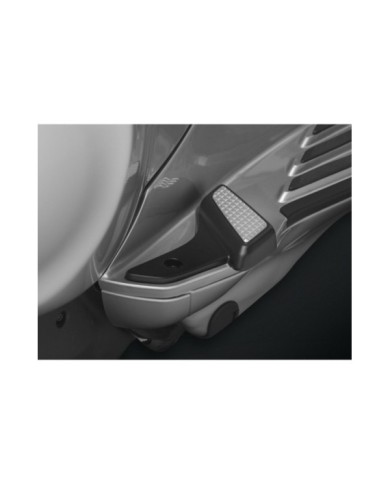 Rizoma Soziusfussrasten