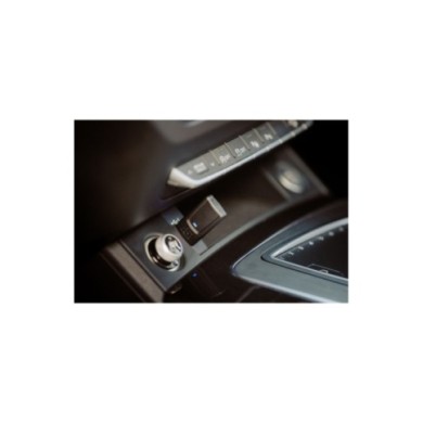 Quad Lock Quad Lock® Wireless Carplay Mini