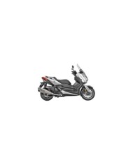 AKRAPOVIC Auspuffanlage Slip-On Line (Edelstahl)