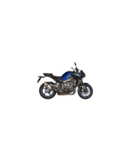 AKRAPOVIC Hitzeschild Carbon
