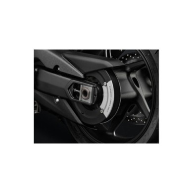 Rizoma copri puleggia (posteriore)