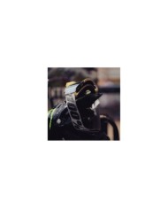 100percent 100% ARMEGA Goggle Lavingaad - Mirror Silver Flash Lens