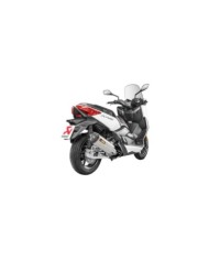 AKRAPOVIC Auspuffanlage Slip-On Line (Edelstahl)