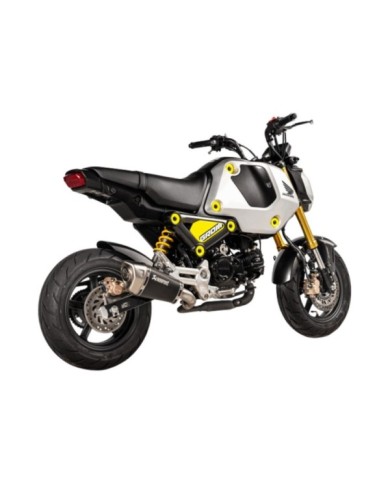 AKRAPOVIC Auspuffanlage Slip-On Line (Titan)