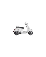 AKRAPOVIC Système d'échappement Slip-On Line (acier inoxydable)