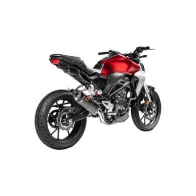 AKRAPOVIC Auspuffanlage Slip-On Line (Carbon)