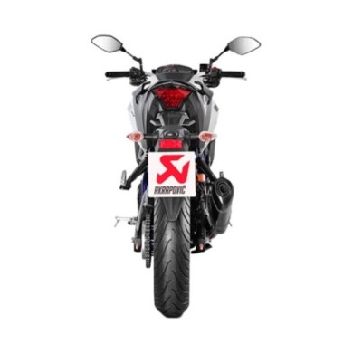 AKRAPOVIC Auspuffanlage Slip-On Line (Carbon)