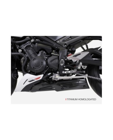 ZARD Edelstahl E5 homologiertes 3 1 Komplettkit und Carbon-Teile