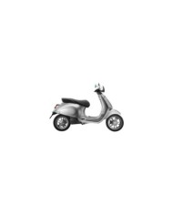 Rizoma Icona laterale Tag V