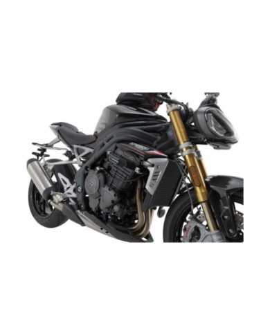 SW-MOTECH Sturzpad-Kit