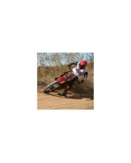 SHOEI Casque intégral