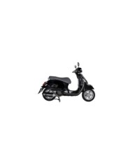 AKRAPOVIC Sistema di scarico Slip-On Line (acciaio inossidabile)