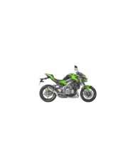 AKRAPOVIC Scudo termico in carbonio