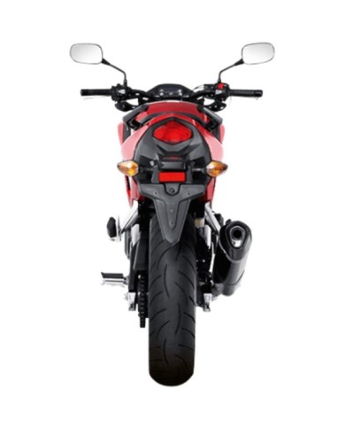 AKRAPOVIC Auspuffanlage Slip-On Line (Carbon)