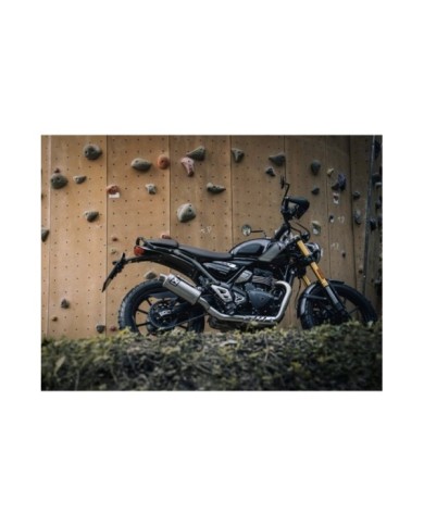 AKRAPOVIC Sistema di scarico Slip-On Line (acciaio inossidabile)