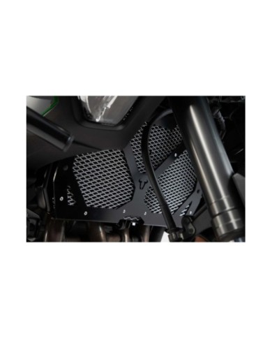 SW-MOTECH Schutz Set