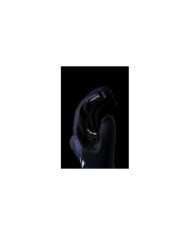 Five Gloves Gants RS3 EVO noir-blanc