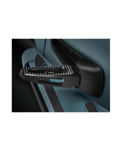 Rizoma Soziusfussrasten