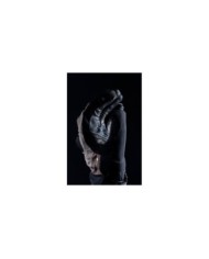 Five Gloves Gant TFX2 WP brun-noir