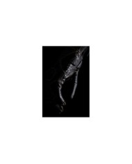 Five Gloves Guanti Kansas neri