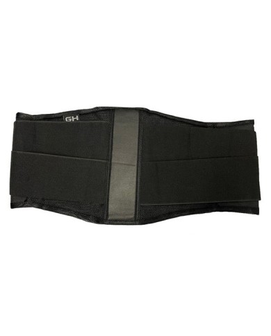 Cintura renale Protect Tech