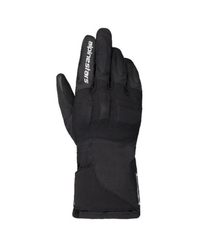 Guanto isolato WT-1 Drystar