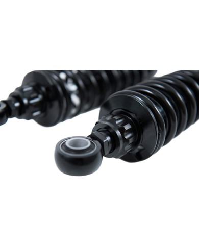 Öhlins Sig. Aleardo Stefanini