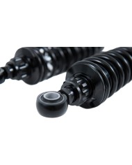Öhlins Sig. Aleardo Stefanini
