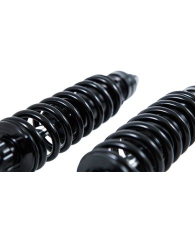 Öhlins Sig. Aleardo Stefanini