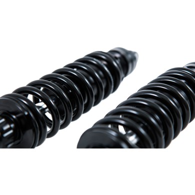 Öhlins Sig. Aleardo Stefanini