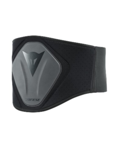 Dainese Nierengurt Lumbar High schwarz
