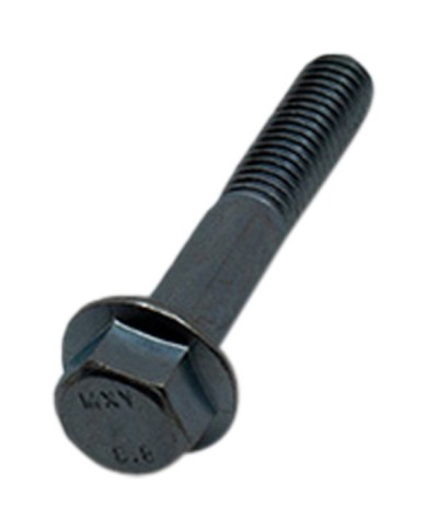 Öhlins Schraube 8x45