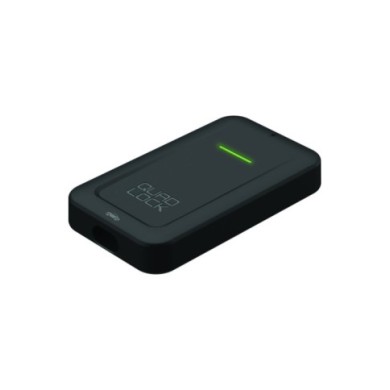 Quad Lock Quad Lock Wireless Carplay Adaptor