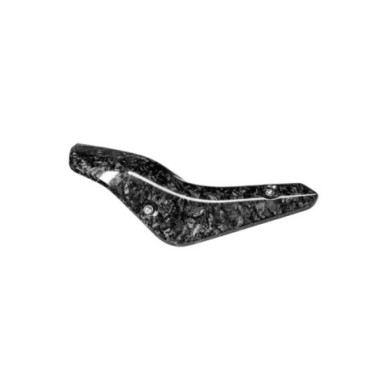 AKRAPOVIC Scudo termico in carbonio
