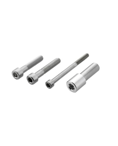 Rizoma Adattatore protezione leve ProGuard per manubrio originale