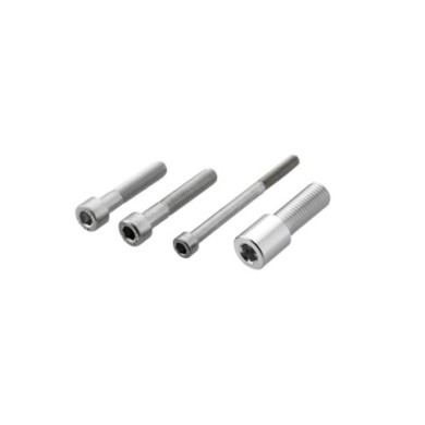 Rizoma Adattatore protezione leve ProGuard per manubrio originale