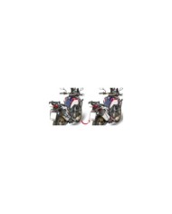 GIVI Supporti laterali PLR
